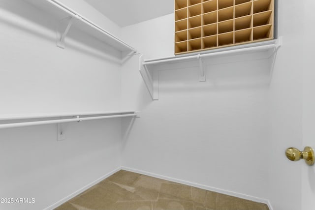 walk in closet featuring carpet flooring