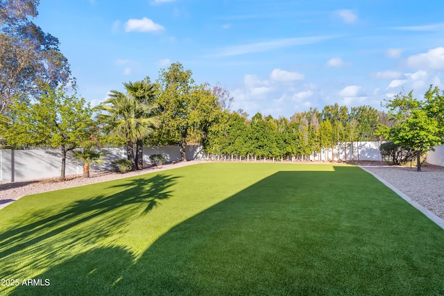 view of yard with a fenced backyard