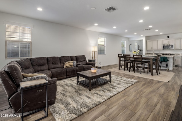 living room featuring sink