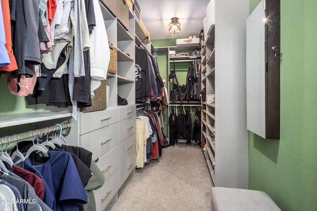 spacious closet with light colored carpet