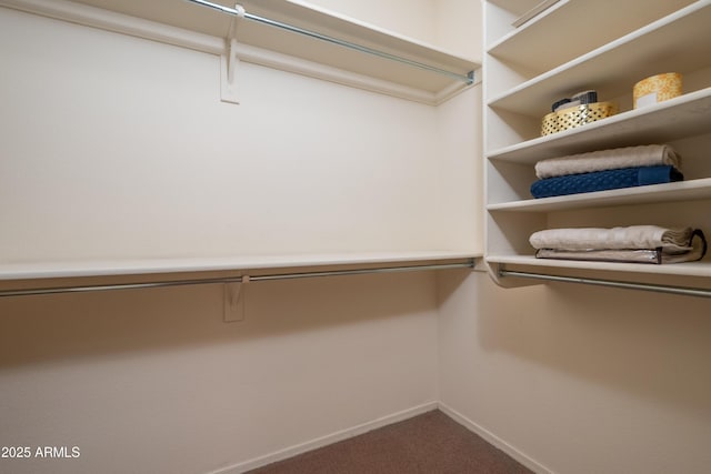 17640 W Babbitt Dr, Surprise, AZ 85374 - spacious closet featuring dark carpet