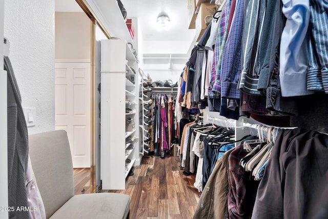 walk in closet with hardwood / wood-style flooring