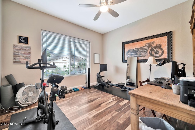 workout room featuring hardwood / wood-style flooring and ceiling fan