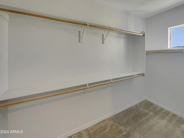 spacious closet featuring carpet