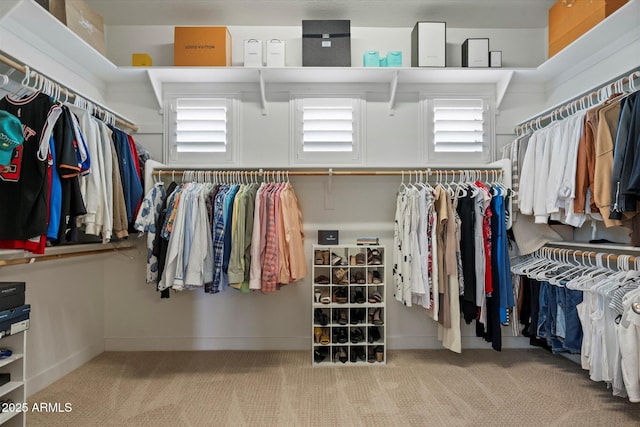 spacious closet featuring carpet
