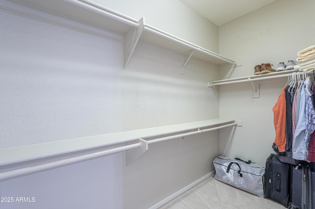 walk in closet with light colored carpet