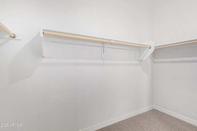 spacious closet featuring carpet