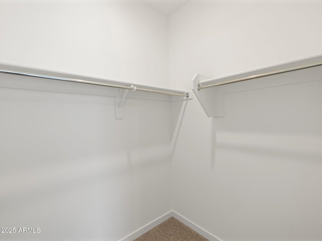 spacious closet featuring carpet flooring
