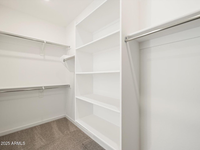 walk in closet featuring carpet