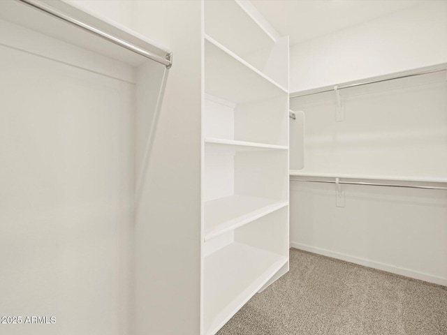 4035 S 176th Dr, Goodyear, AZ 85338 - spacious closet with carpet flooring