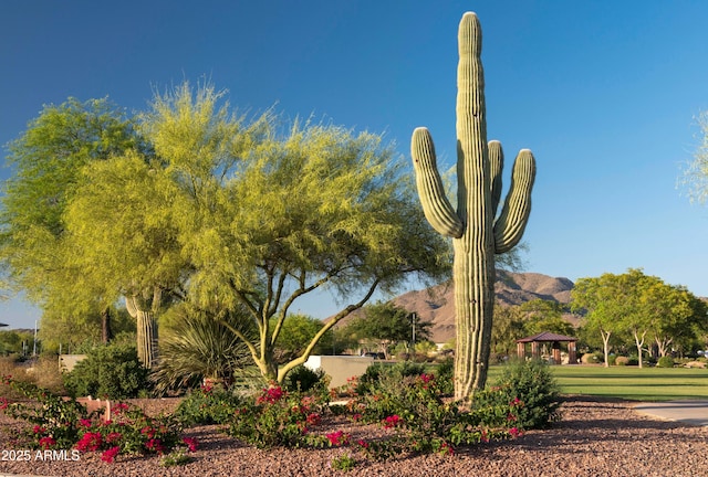 40741 N Citrus Canyon Trl, Anthem, AZ 85086 - view of community featuring a gazebo and a mountain view