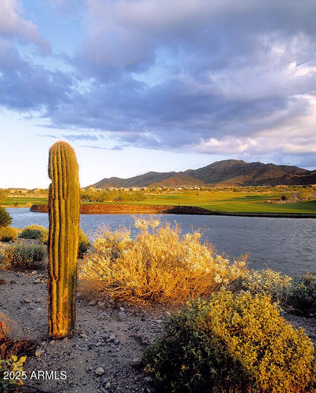 40741 N Citrus Canyon Trl, Anthem, AZ 85086 - water view with a mountain view