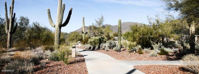40741 N Citrus Canyon Trl, Anthem, AZ 85086 - view of community with a mountain view