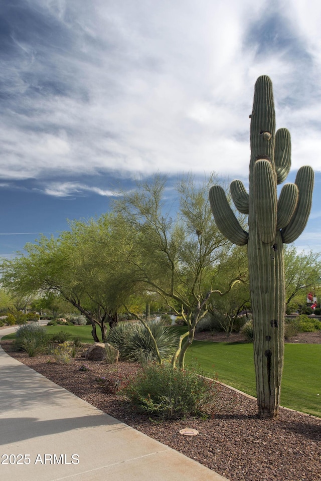 40741 N Citrus Canyon Trl, Anthem, AZ 85086 - surrounding community with a yard