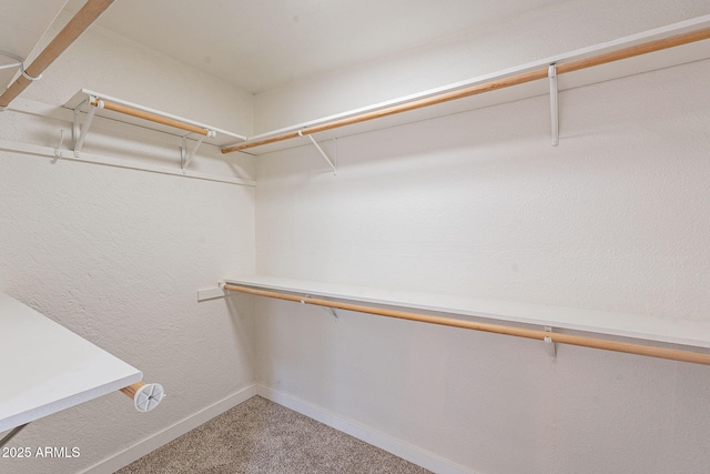 spacious closet with carpet floors