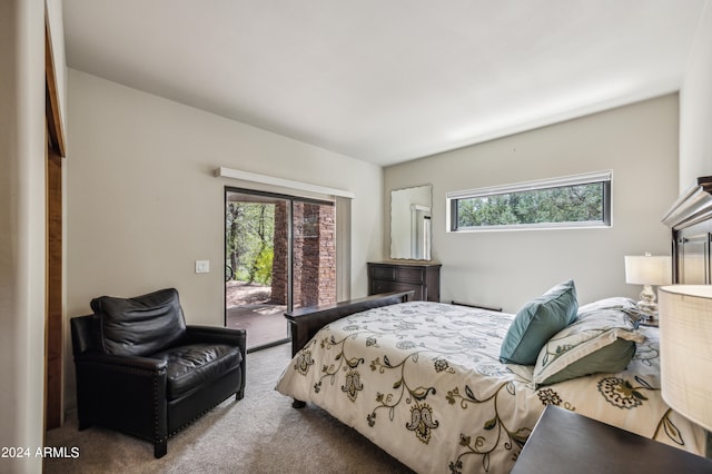 bedroom featuring carpet flooring, access to outside, and multiple windows