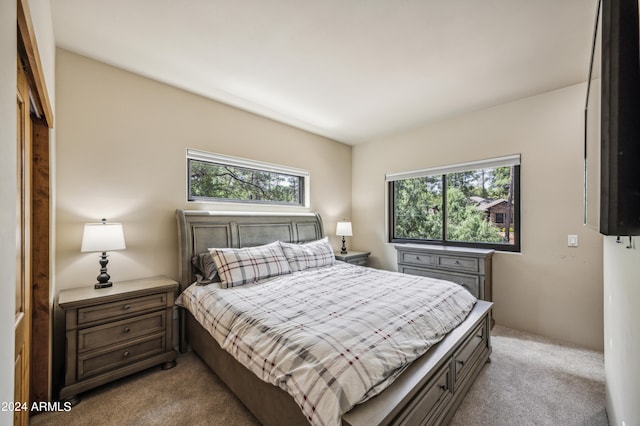 bedroom featuring light carpet and a closet