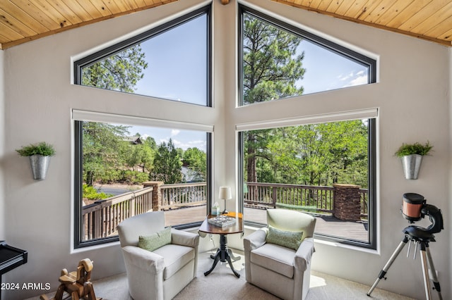 interior space with plenty of natural light, high vaulted ceiling, and carpet