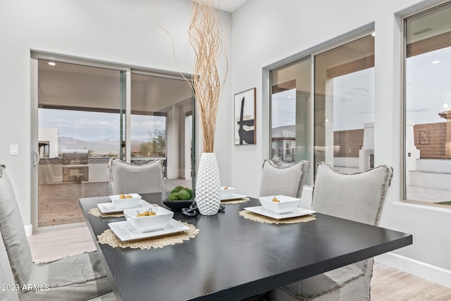 dining space featuring light hardwood / wood-style flooring