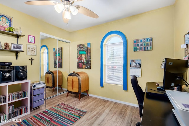 home office featuring ceiling fan and light wood-type flooring