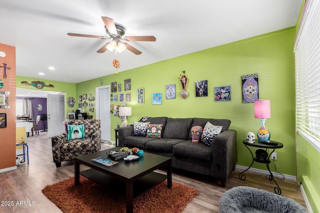 living room with ceiling fan and light hardwood / wood-style floors