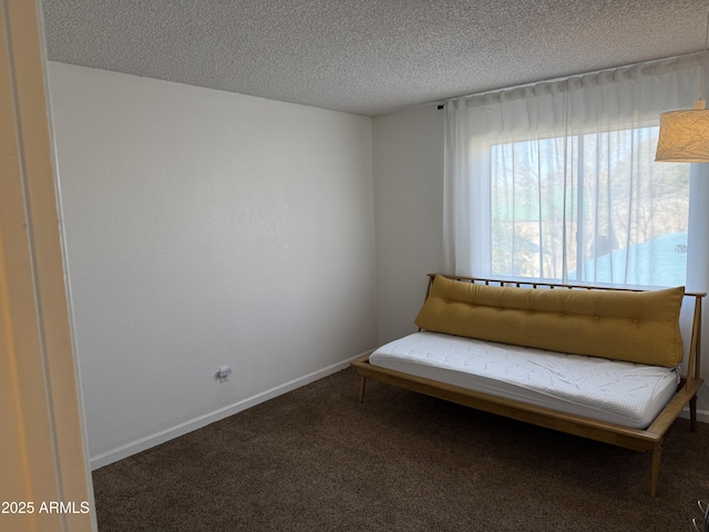 unfurnished room featuring a textured ceiling and carpet floors