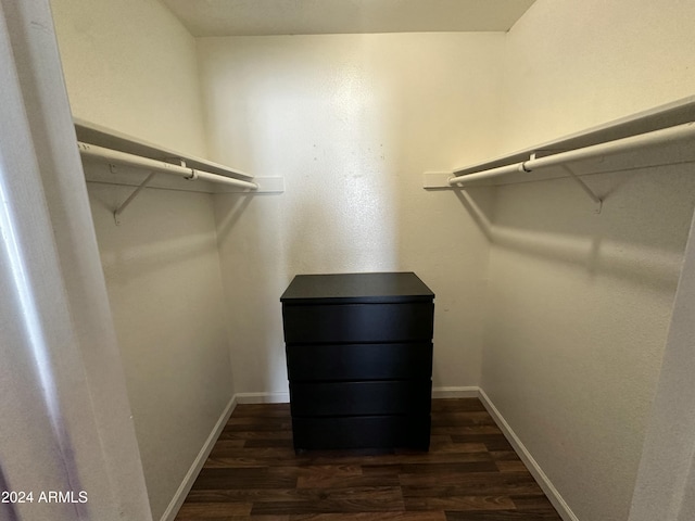 spacious closet with dark hardwood / wood-style floors