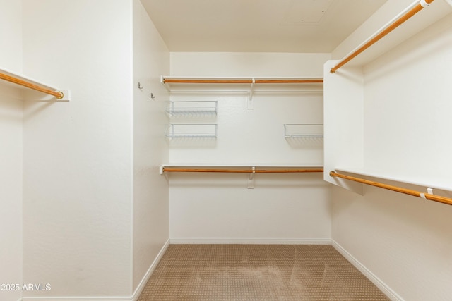 spacious closet featuring light carpet