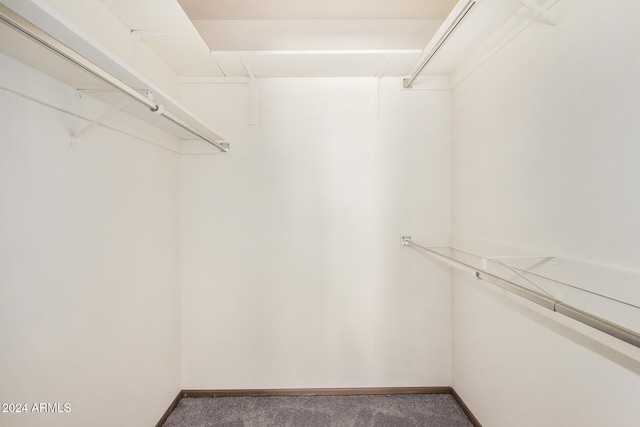 spacious closet featuring carpet