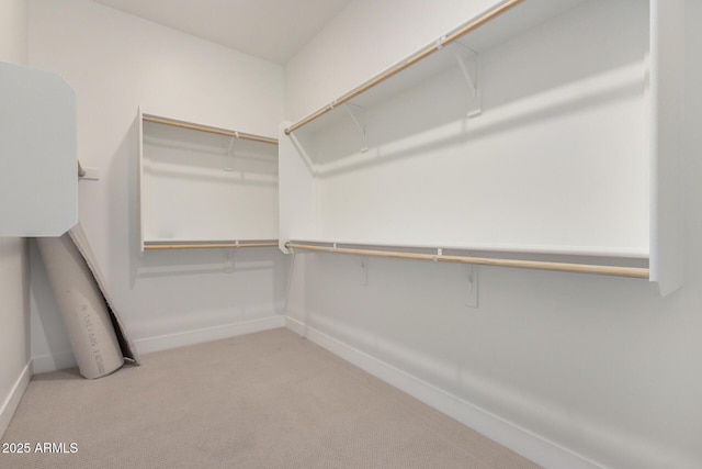 walk in closet featuring carpet flooring