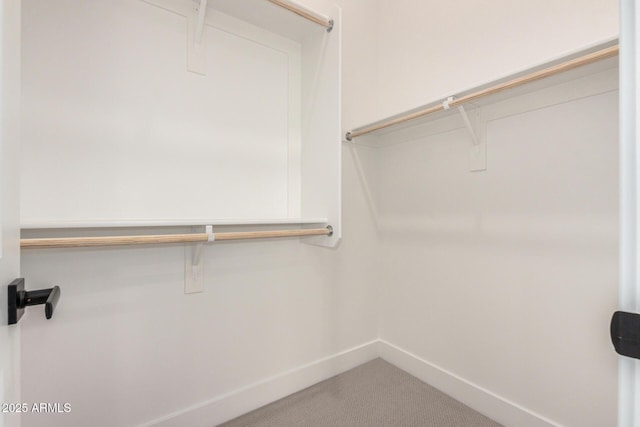 spacious closet featuring carpet floors