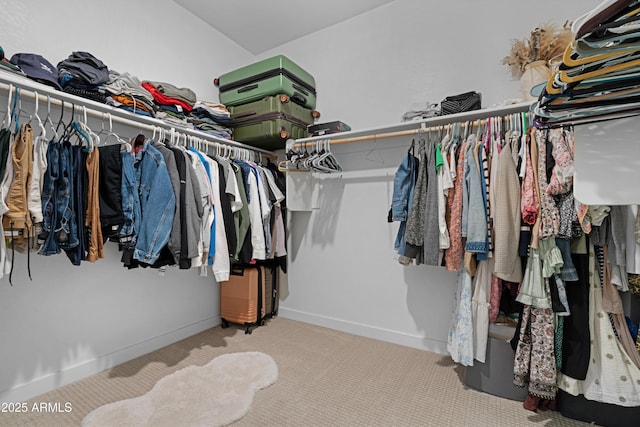 spacious closet featuring light colored carpet