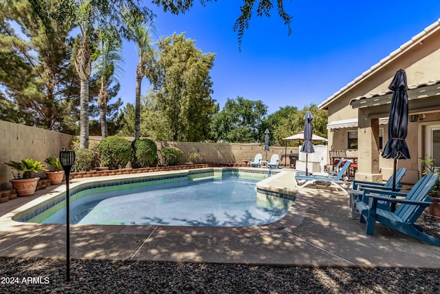 view of pool with a patio