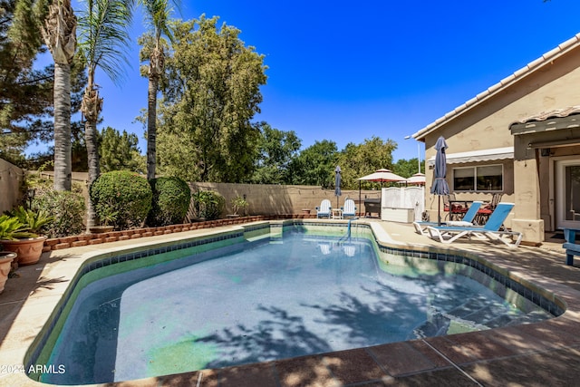 view of swimming pool with a patio area