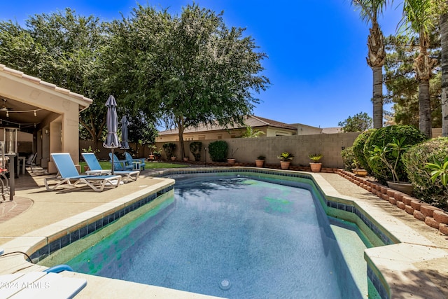 view of pool with a patio area