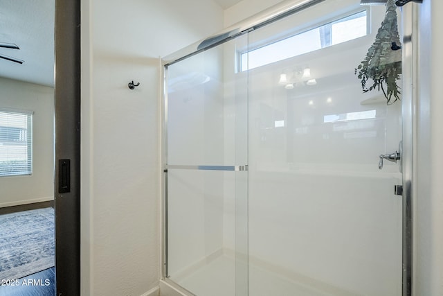 10925 E Toluca Ave, Mesa, AZ 85212 - full bath with a stall shower and baseboards