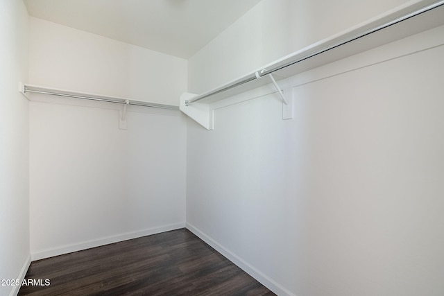 10925 E Toluca Ave, Mesa, AZ 85212 - spacious closet featuring dark wood finished floors