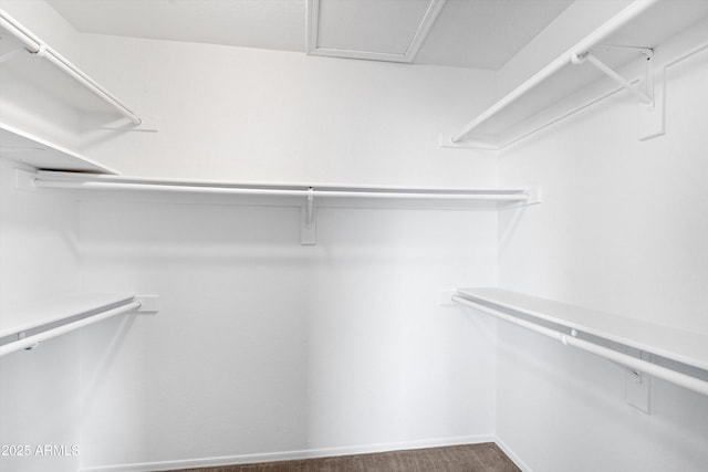 1203 W Escuda Rd, Phoenix, AZ 85027 - walk in closet with carpet