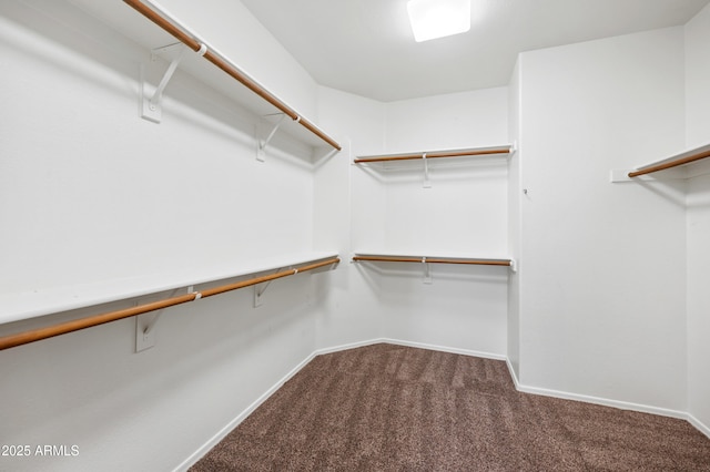 824 E Chelsea Dr, San Tan Valley, AZ 85140 - spacious closet featuring carpet floors