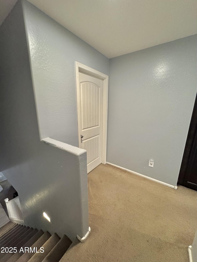 interior space with carpet and baseboards