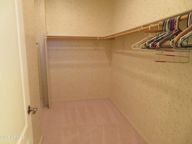 spacious closet with carpet floors