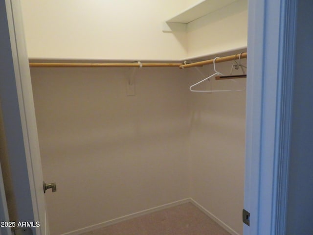 view of walk in closet