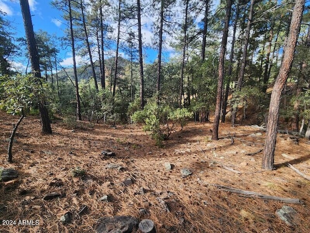 000 N Sundown Ln Unit 104, Pine AZ, 85544 land for sale