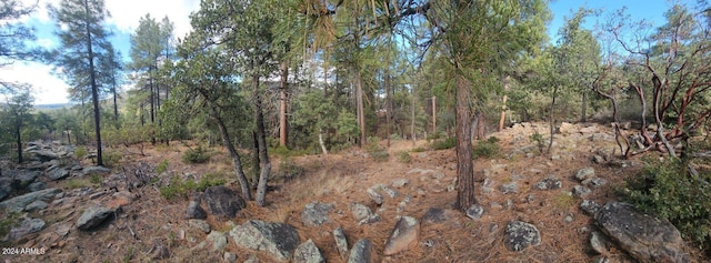 Listing photo 2 for 000 N Sundown Ln Unit 104, Pine AZ 85544