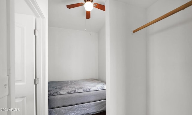 spacious closet featuring ceiling fan