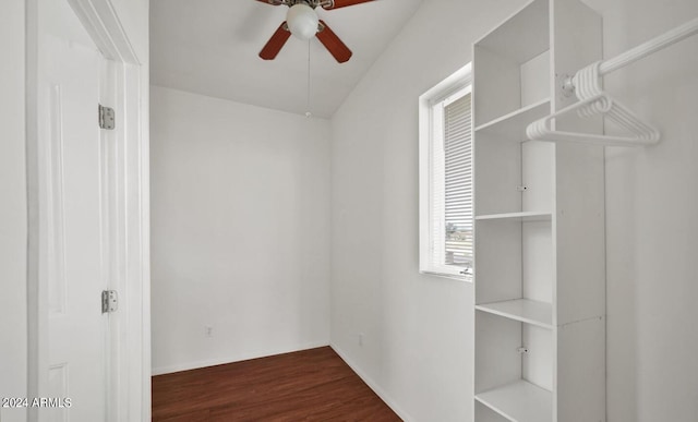 walk in closet with ceiling fan and hardwood / wood-style flooring