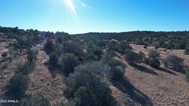 Listing photo 3 for 30863 W Basconia Rd Unit 4315, Seligman AZ 86337