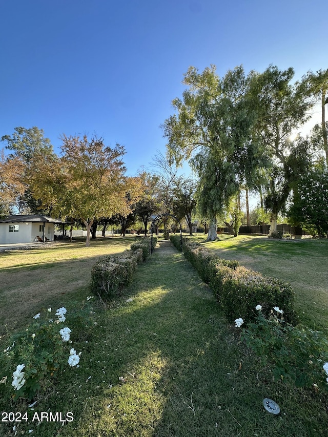 2311 E Colter St, Phoenix, AZ 85016 - view of yard