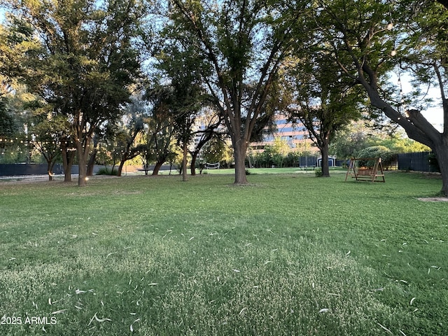 2311 E Colter St, Phoenix, AZ 85016 - view of yard