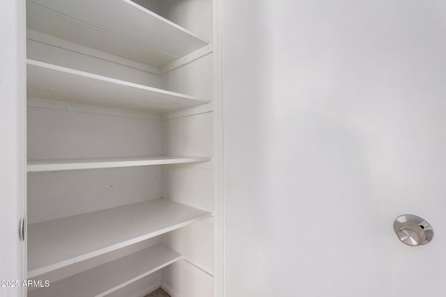 view of closet